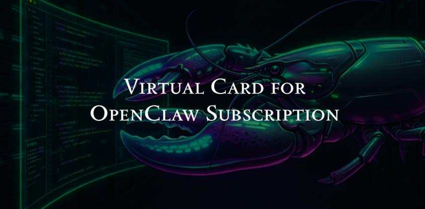 Virtual Card for OpenClaw Subscription: Pay With Crypto